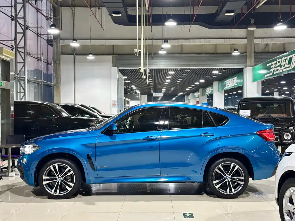 BMW X6 — фото 9