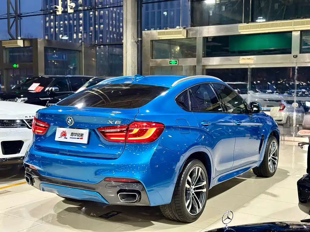 BMW X6 — фото 10