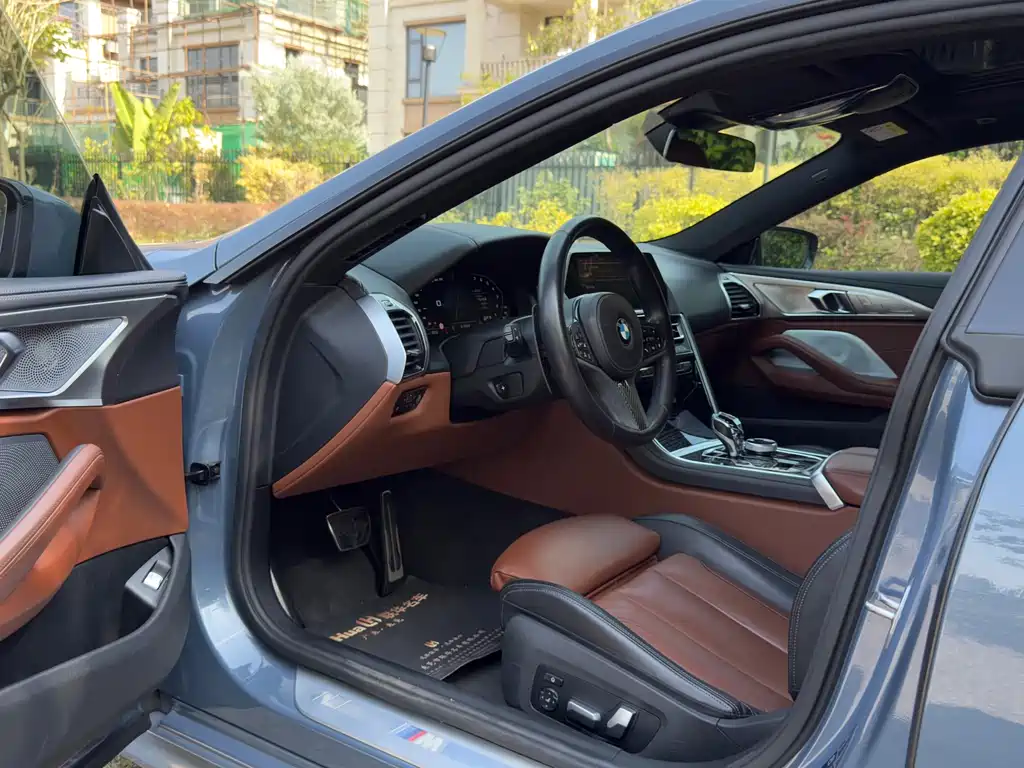 BMW 8 Series — фото 10