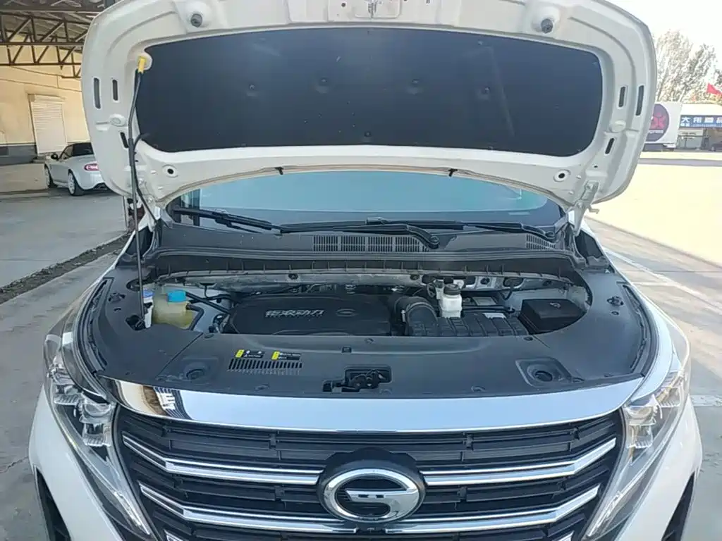 GAC Motor Trumpchi M8 — фото 19