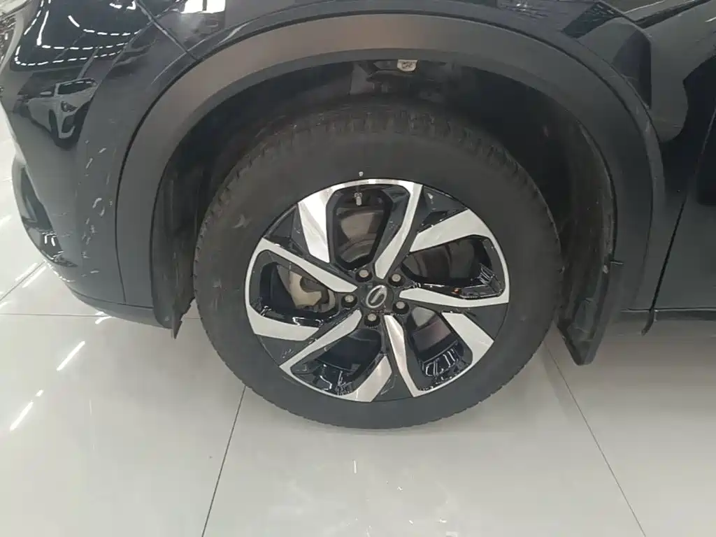 GAC Motor Trumpchi GS5 — фото 22