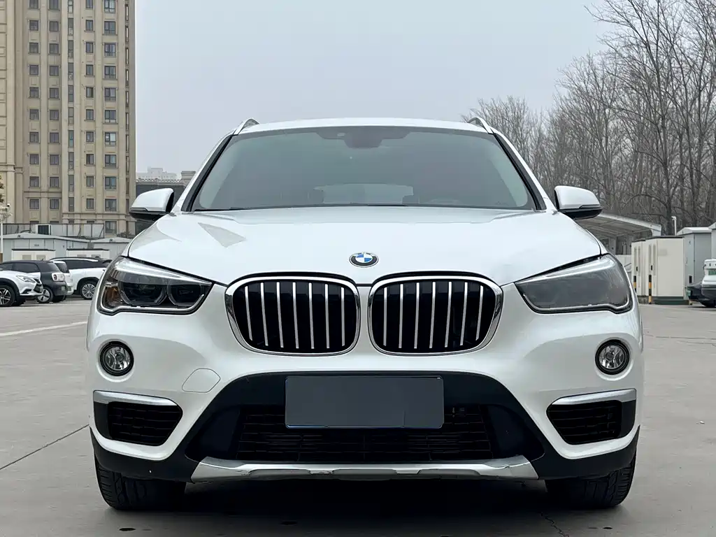 BMW X1 — фото 2