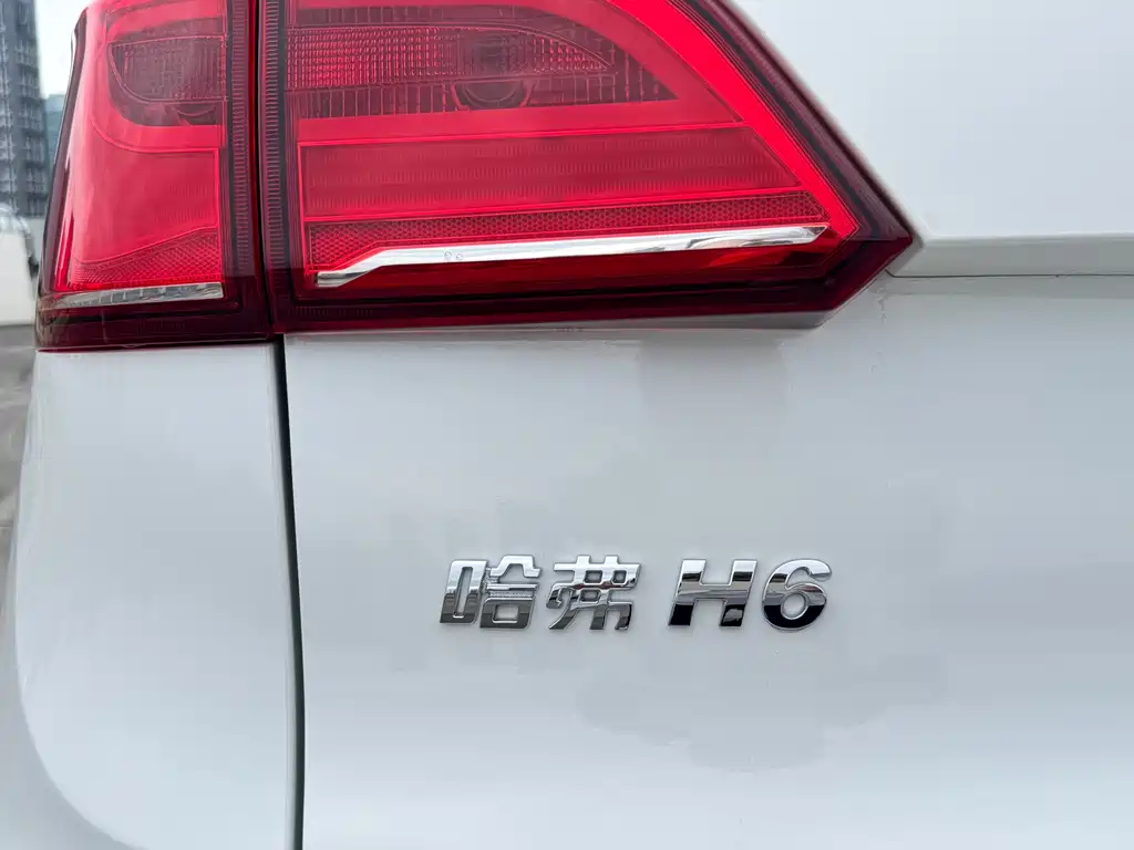 Haval H6 Coupe — фото 17