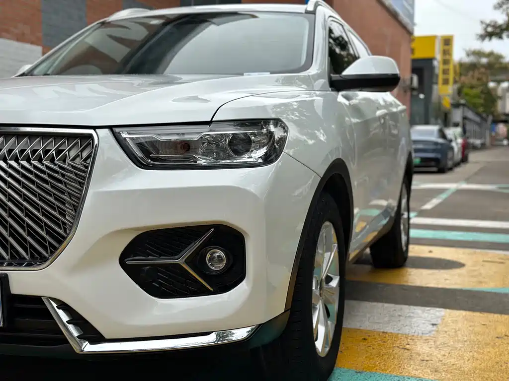 Haval H6 — фото 10