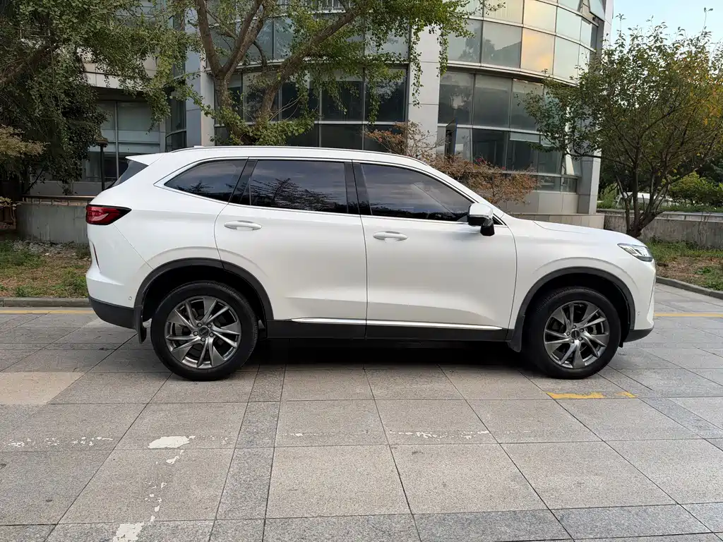 Haval H6 — фото 8