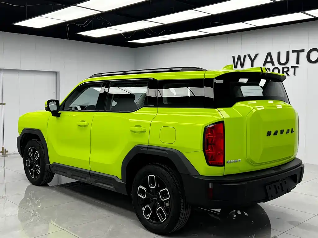 Haval Cool Dog — фото 6