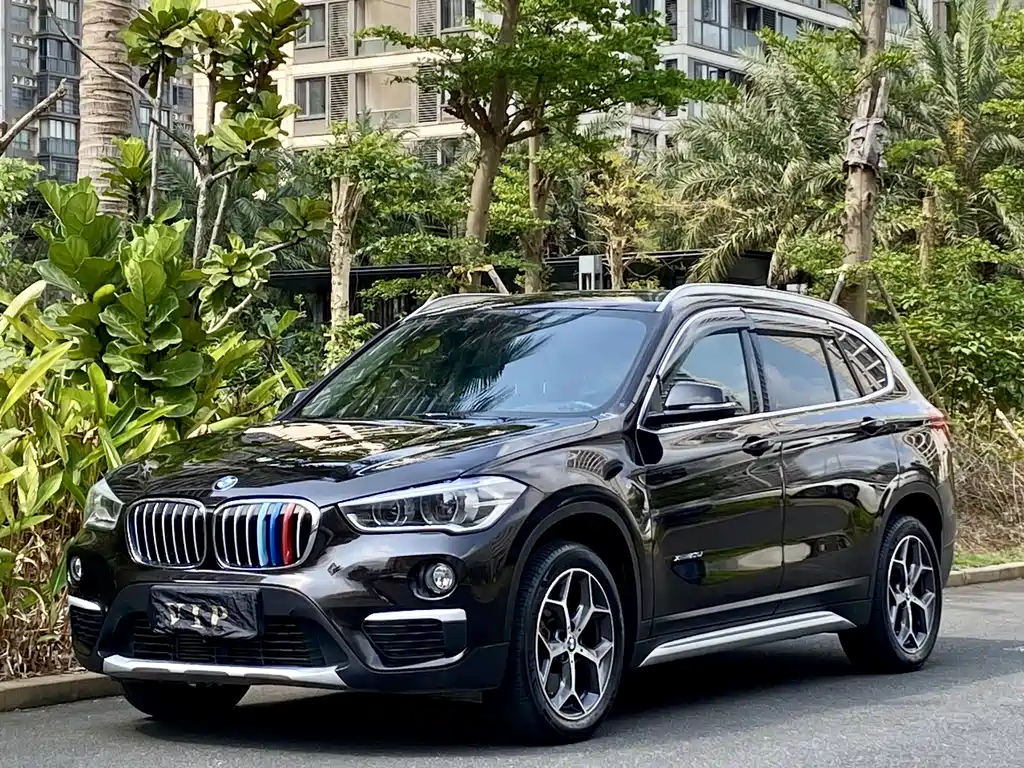 BMW X1 — фото 10