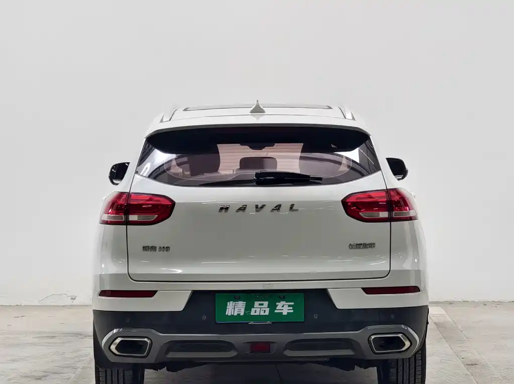 Haval H6 — фото 5