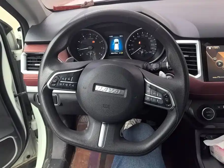 Haval H6 Coupe — фото 15