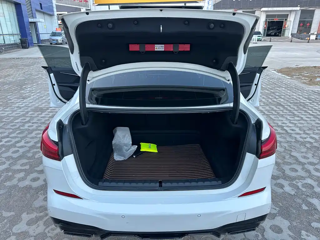 BMW 2 Series (Import) — фото 19