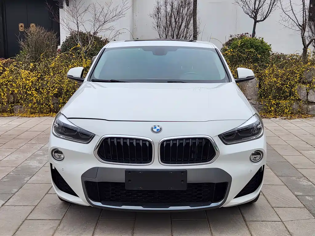 BMW X2 (Import) — фото 5