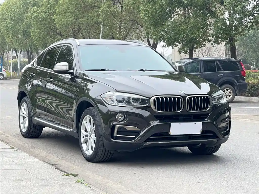BMW X6 — фото 4
