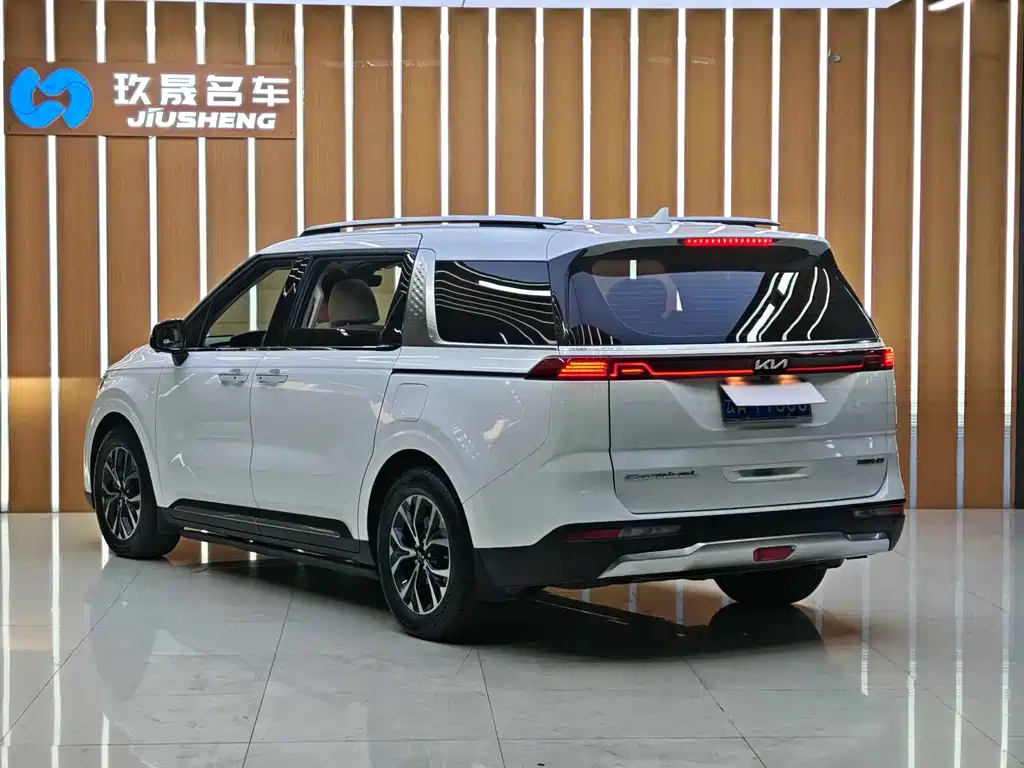 Kia Carnival — фото 14