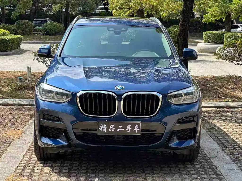 BMW X3 — фото 3