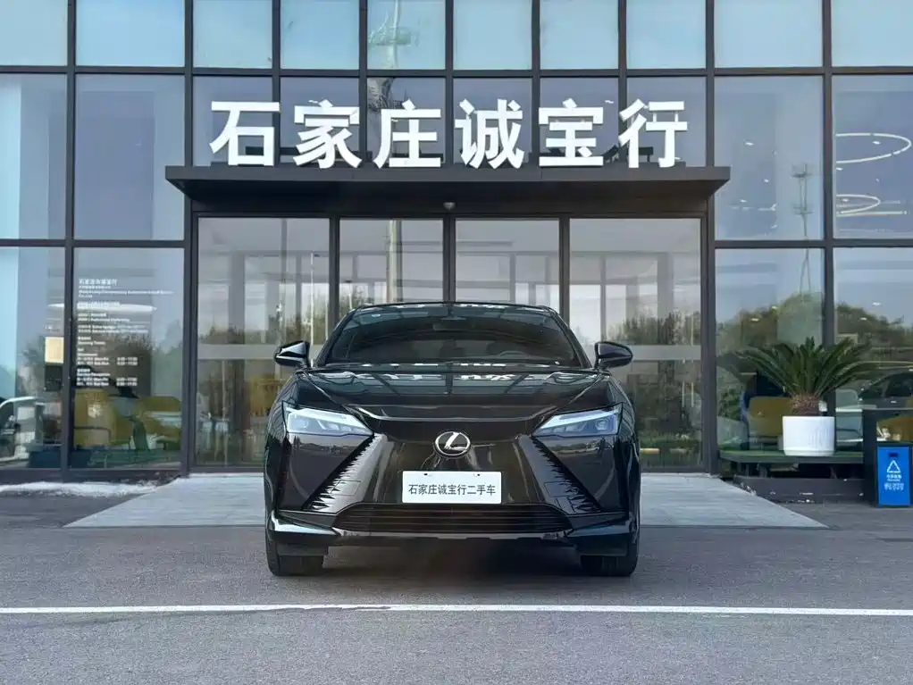 Lexus RZ — фото 2