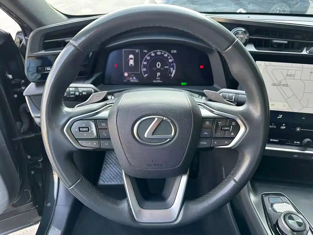 Lexus RZ — фото 10