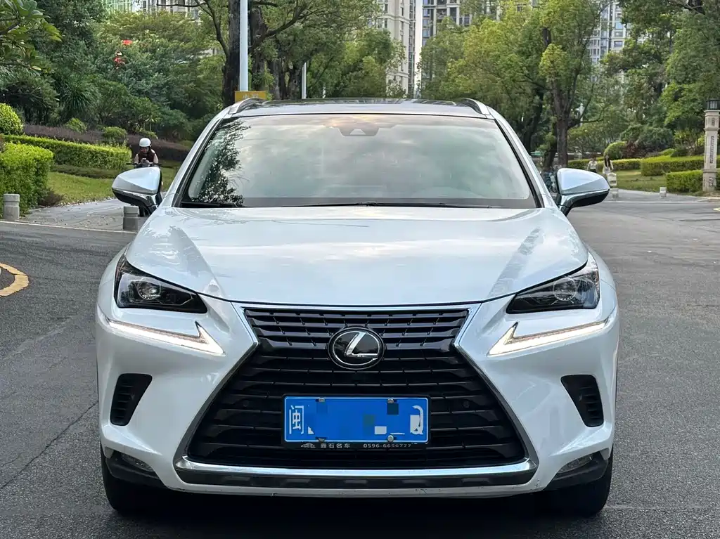 Lexus NX — фото 2
