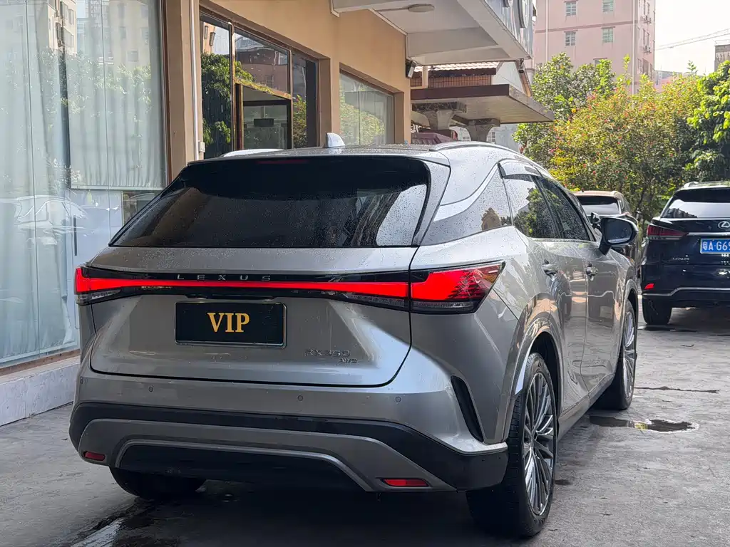 Lexus RX — фото 10
