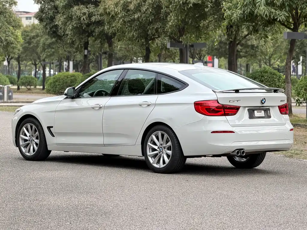 BMW 3 Series GT — фото 28