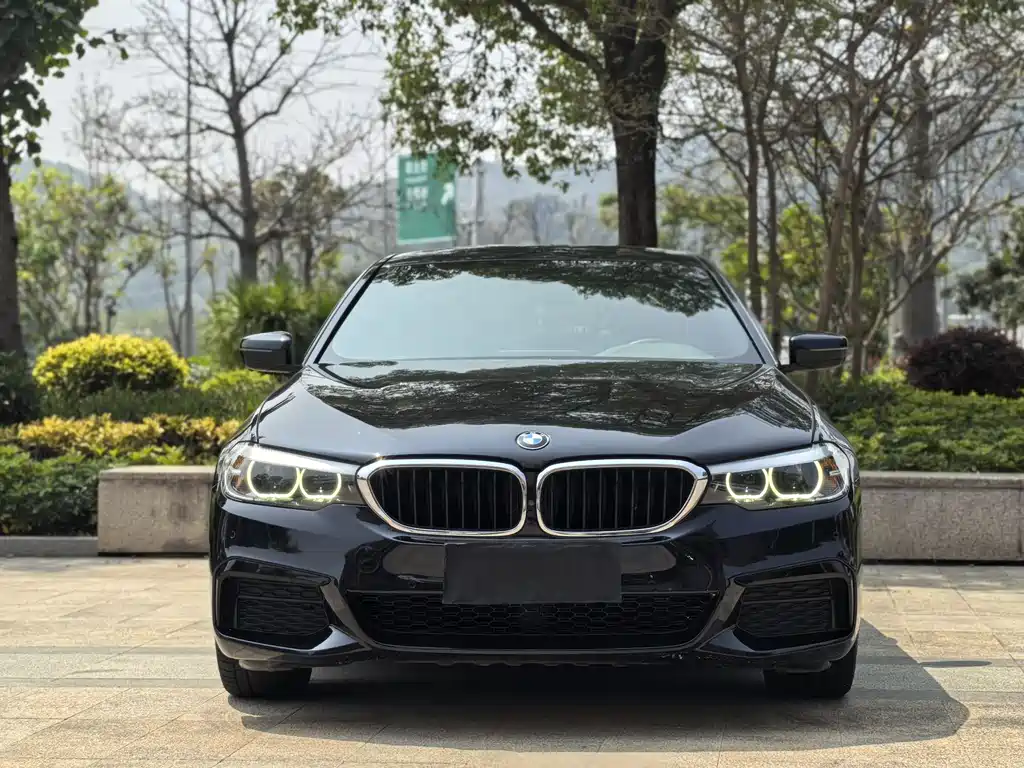 BMW 5 Series — фото 2