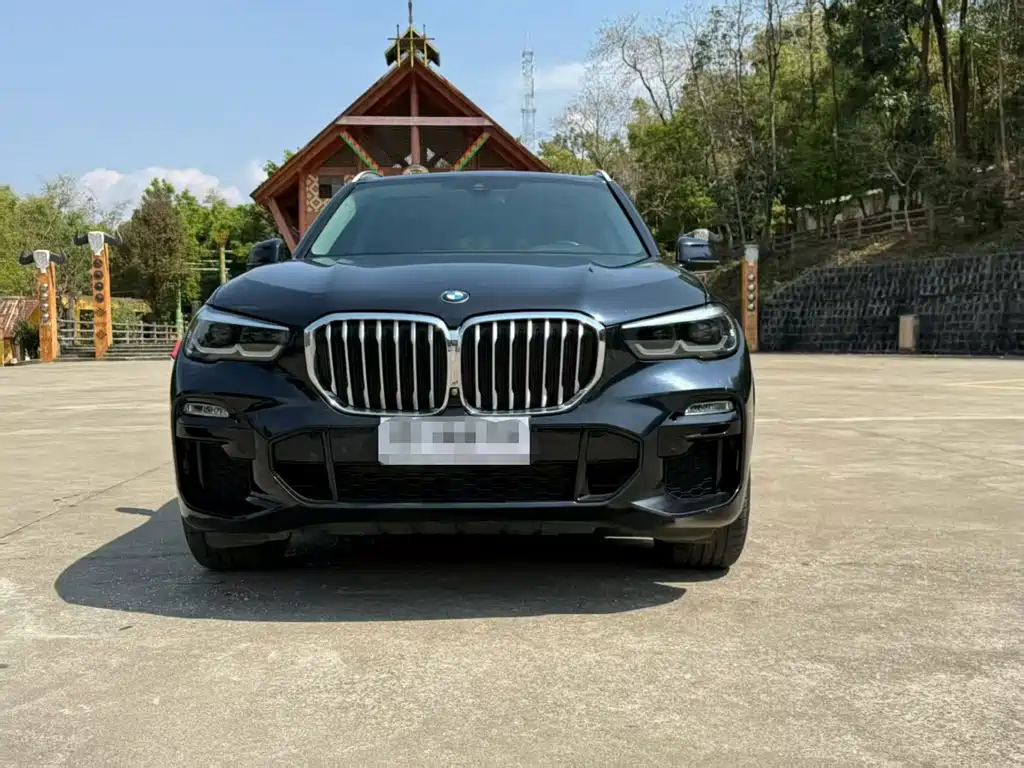 BMW X5 (Import) — фото 3