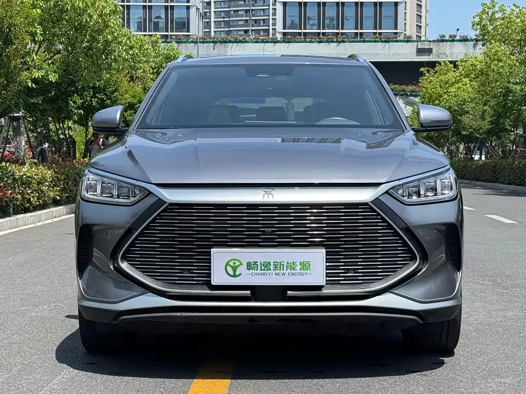 BYD PLUS New Energy — фото 2