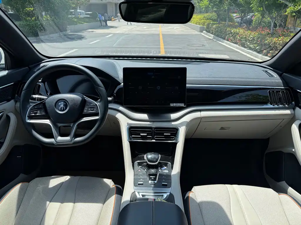 BYD PLUS New Energy — фото 15