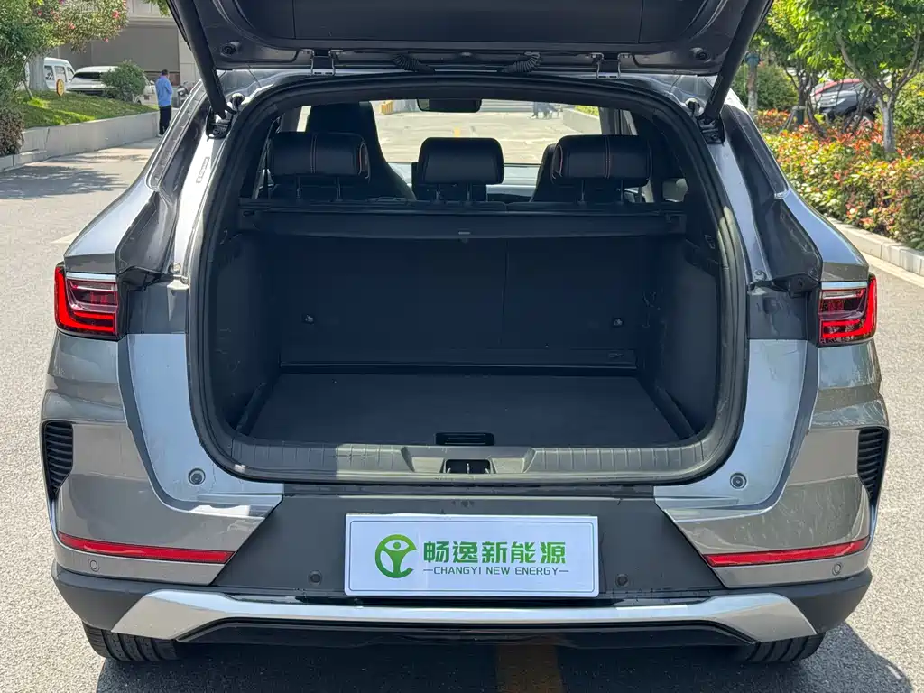 BYD PLUS New Energy — фото 18