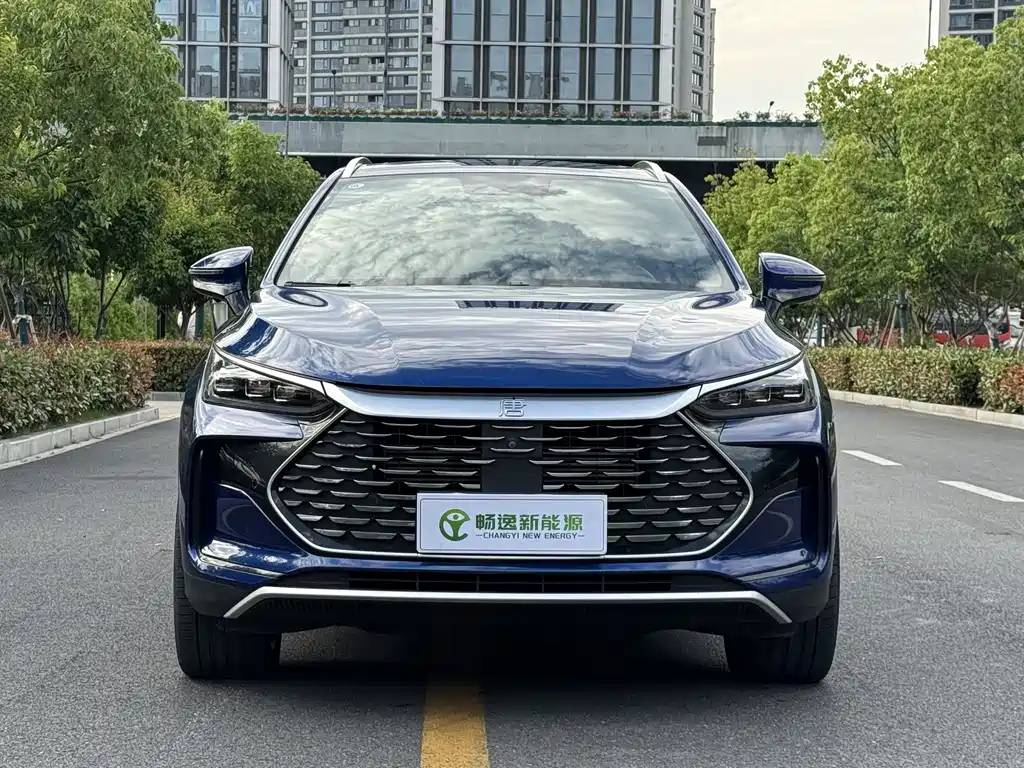 BYD Tang New Energy — фото 2