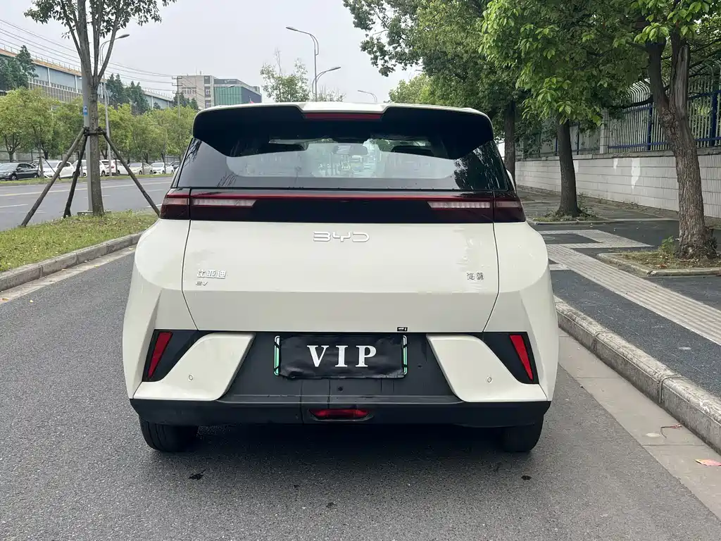BYD Seagull — фото 6