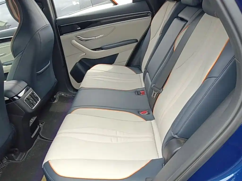 BYD PLUS New Energy — фото 17