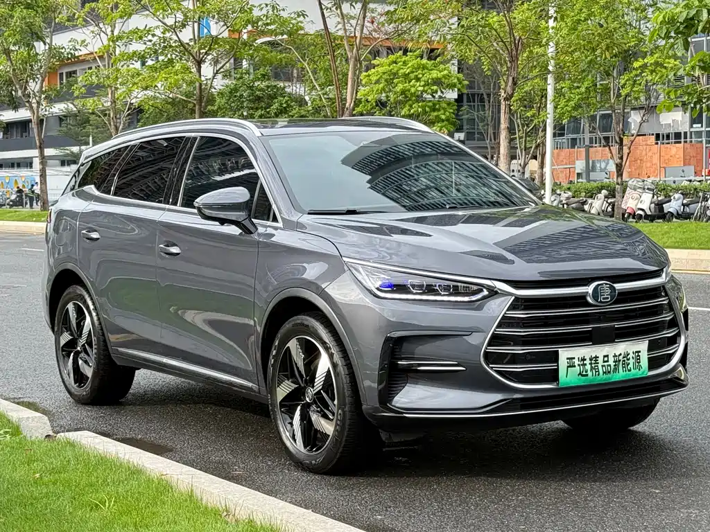 BYD Tang New Energy — фото 3