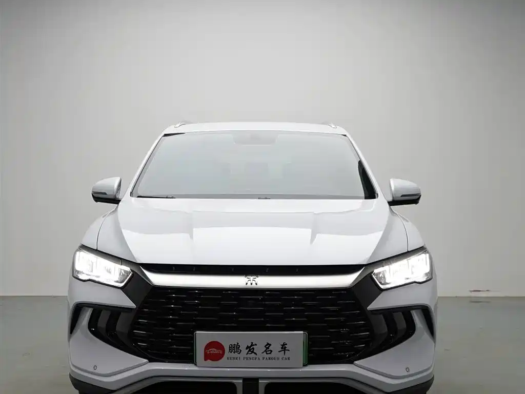 BYD Pro New Energy — фото 2