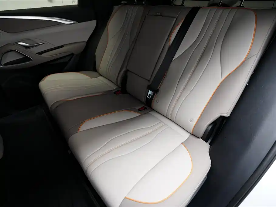BYD Pro New Energy — фото 13