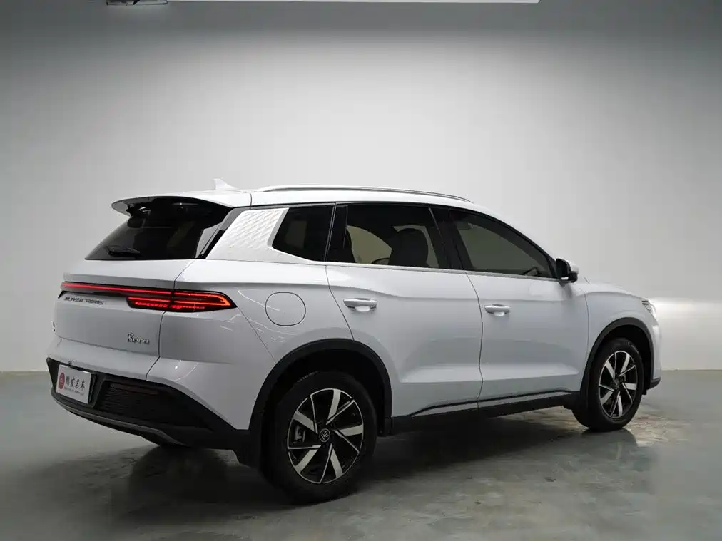 BYD Pro New Energy — фото 17