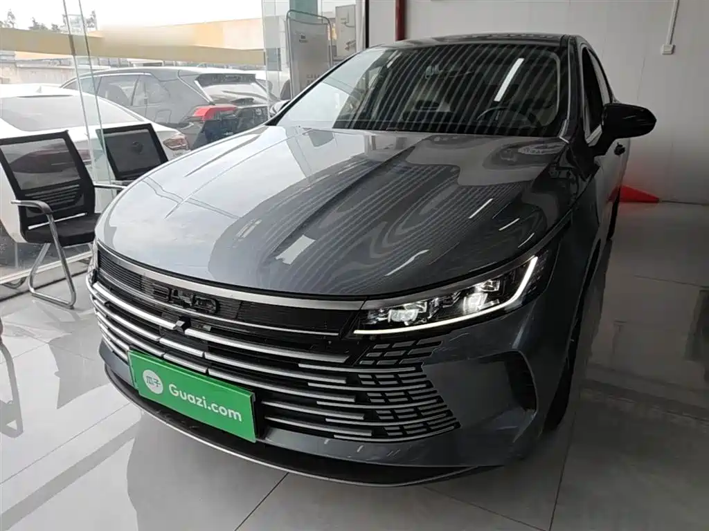 BYD Destroyer 05 — фото 2