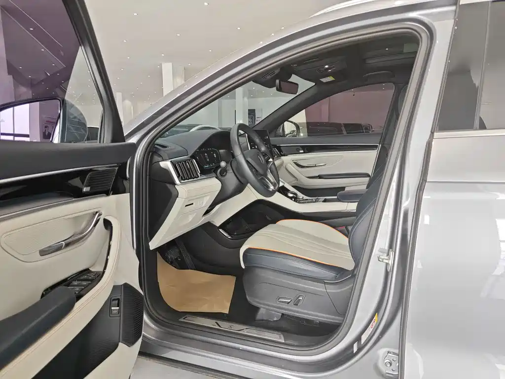 BYD PLUS New Energy — фото 8