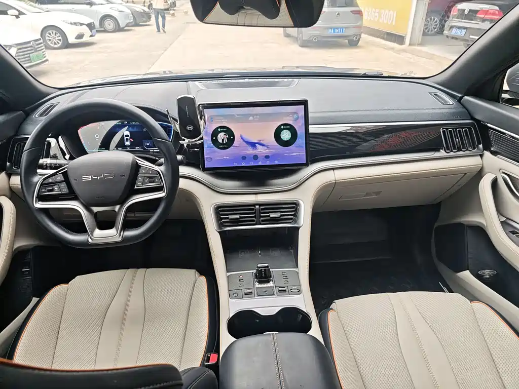 BYD PLUS New Energy — фото 14
