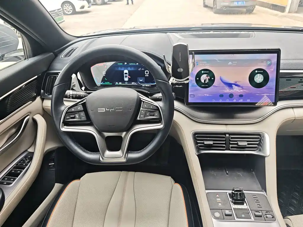 BYD PLUS New Energy — фото 15