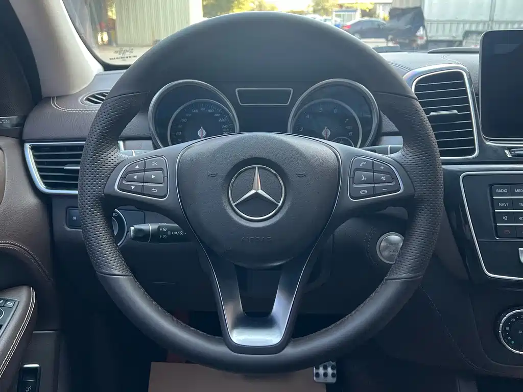Mercedes-Benz GLE (Import) — фото 11