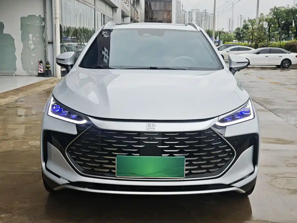 BYD Tang New Energy — фото 2