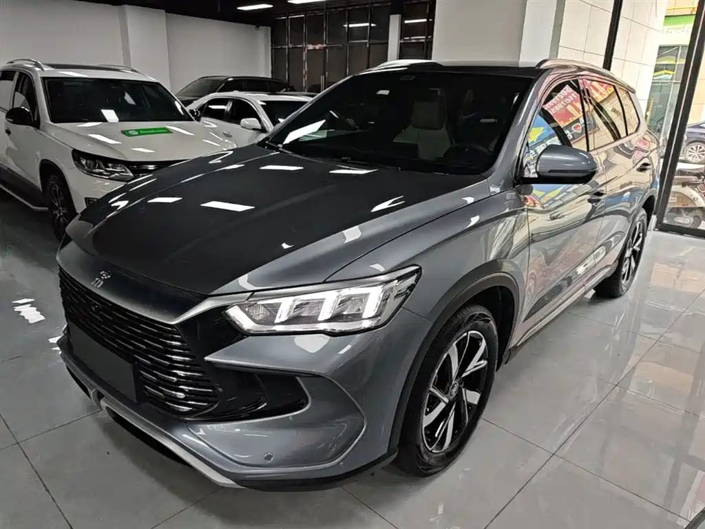 BYD Pro New Energy — фото 2