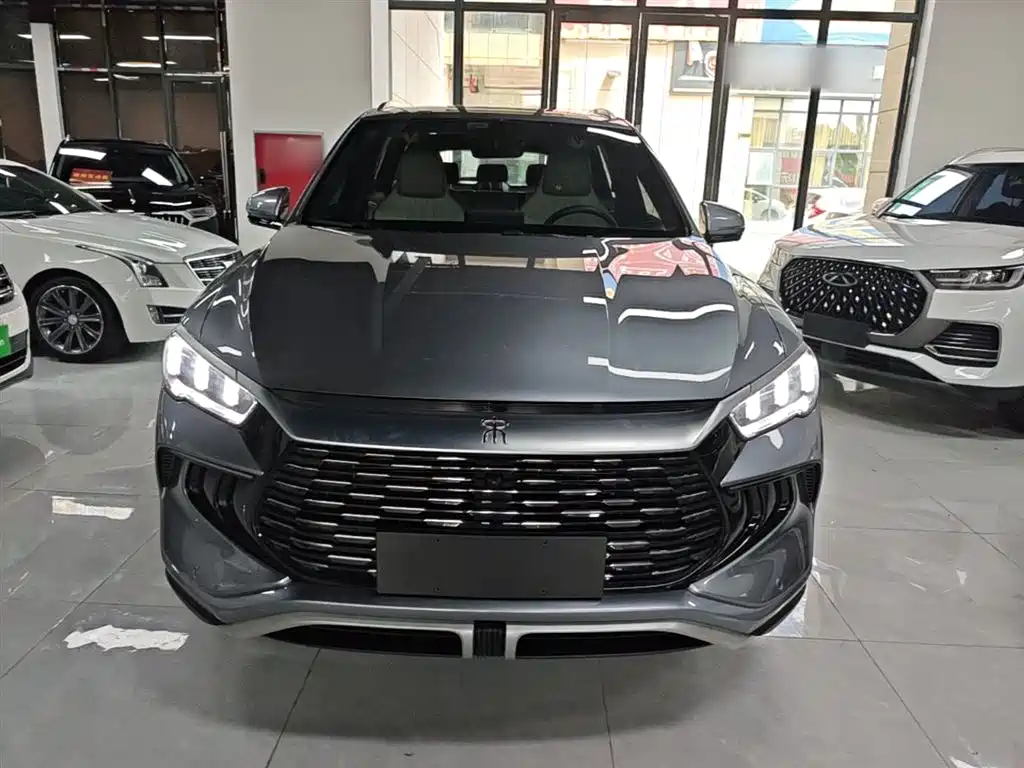 BYD Pro New Energy — фото 3