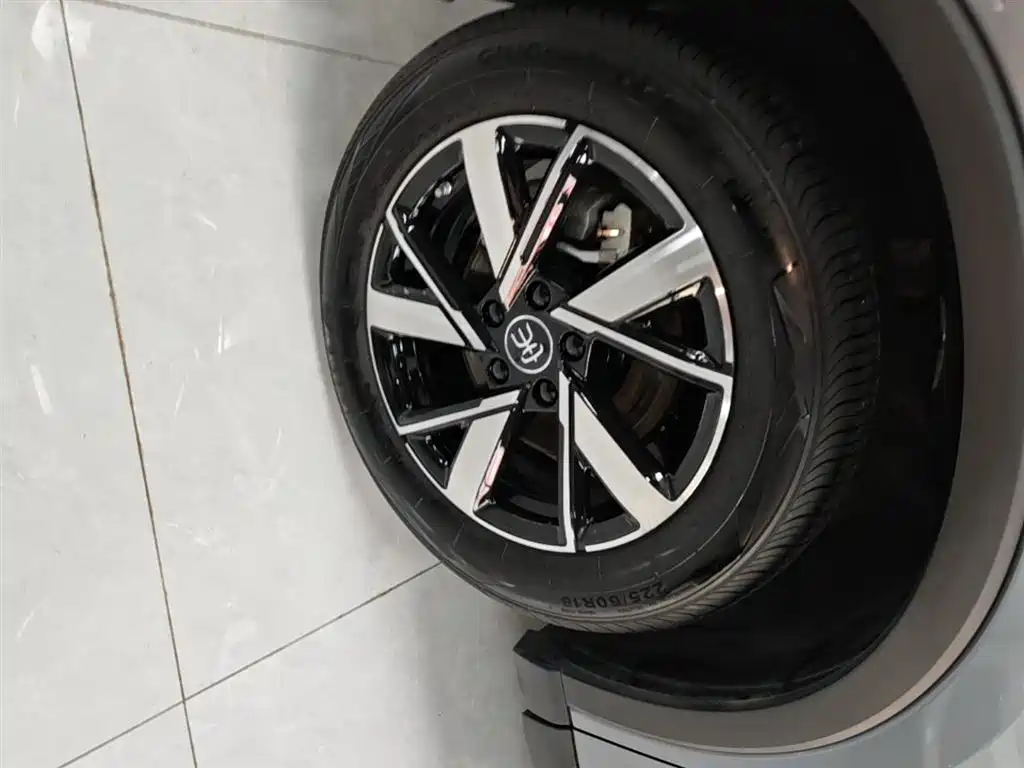 BYD Pro New Energy — фото 25