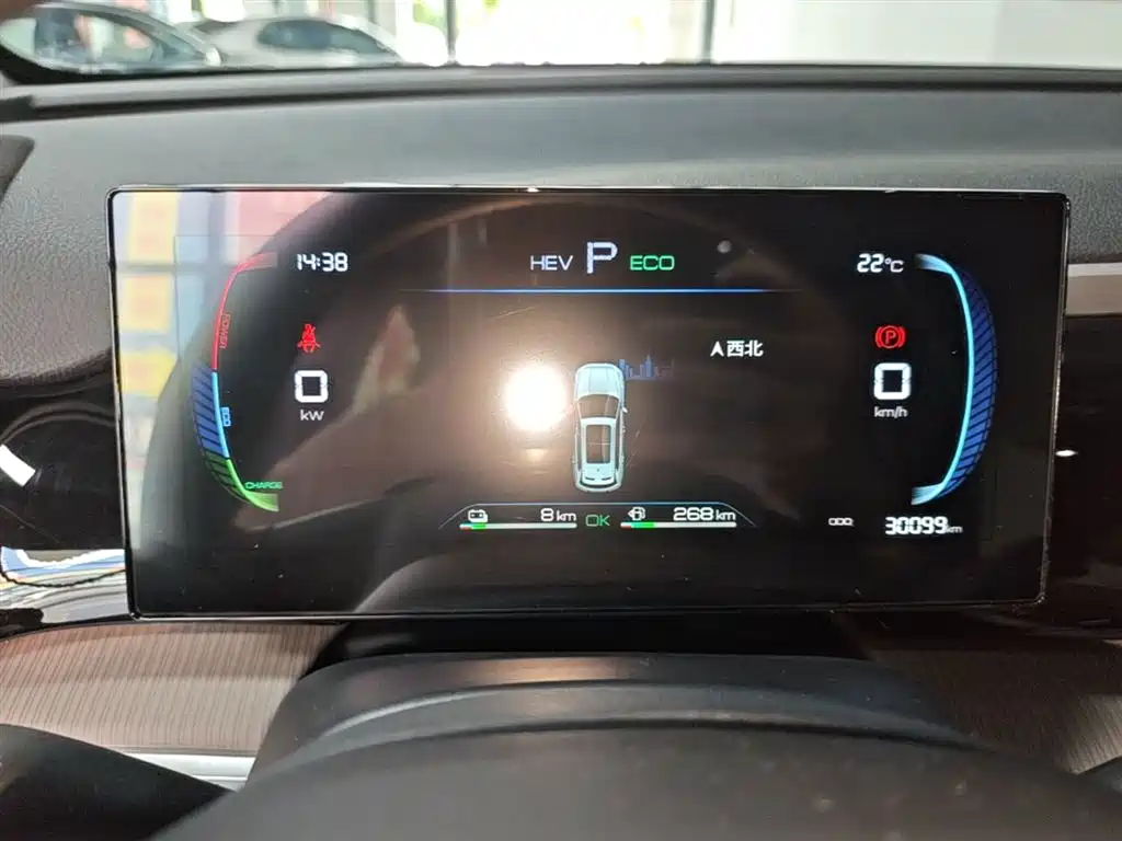 BYD Pro New Energy — фото 8