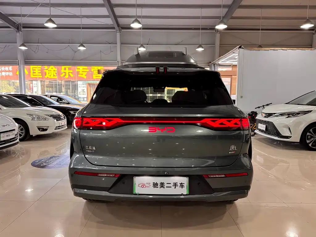 BYD Tang L — фото 4