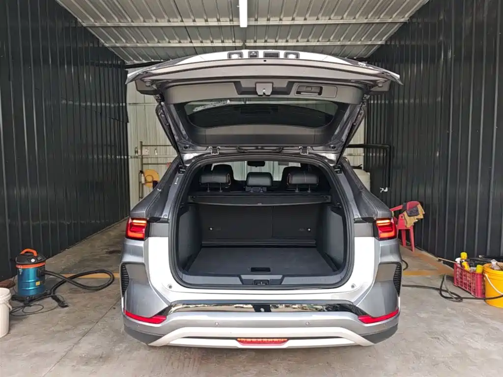 BYD PLUS New Energy — фото 19