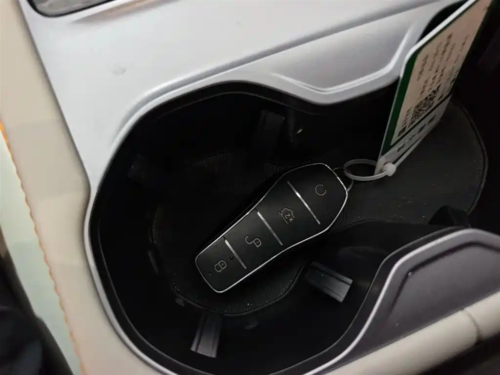 BYD PLUS New Energy — фото 9