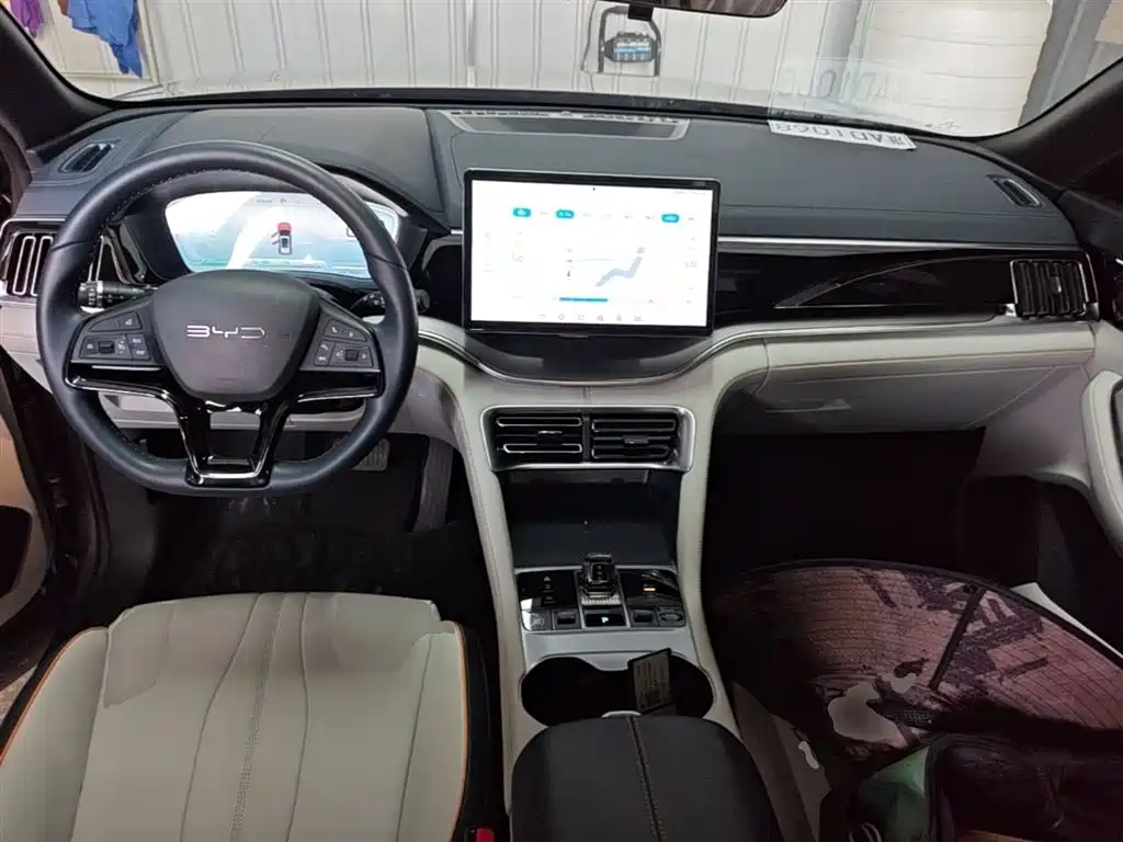 BYD PLUS New Energy — фото 10