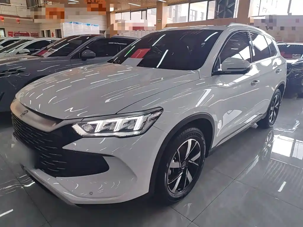 BYD Pro New Energy — фото 2